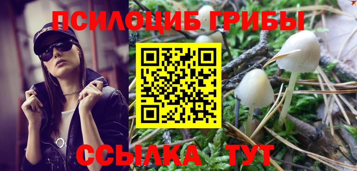 Галлюциногенные грибы мицелий Богородск